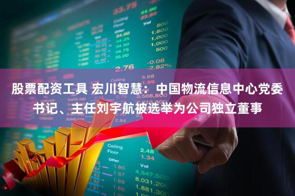 股票配资工具 宏川智慧：中国物流信息中心党委书记、主任刘宇航被选举为公司独立董事
