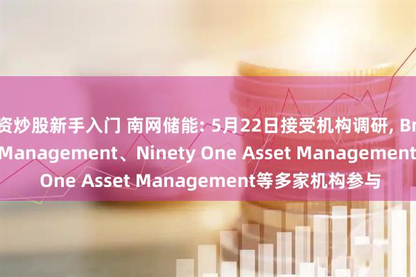 配资炒股新手入门 南网储能: 5月22日接受机构调研, Bmo Global Asset Management、Ninety One Asset Management等多家机构参与