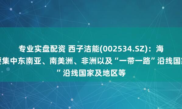 专业实盘配资 西子洁能(002534.SZ)：海外市场主要集中东南亚、南美洲、非洲以及“一带一路”沿线国家及地区等