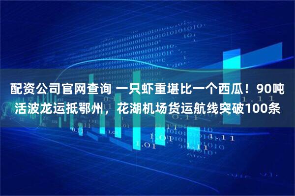 配资公司官网查询 一只虾重堪比一个西瓜！90吨活波龙运抵鄂州，花湖机场货运航线突破100条