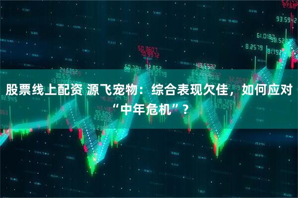 股票线上配资 源飞宠物：综合表现欠佳，如何应对“中年危机”？
