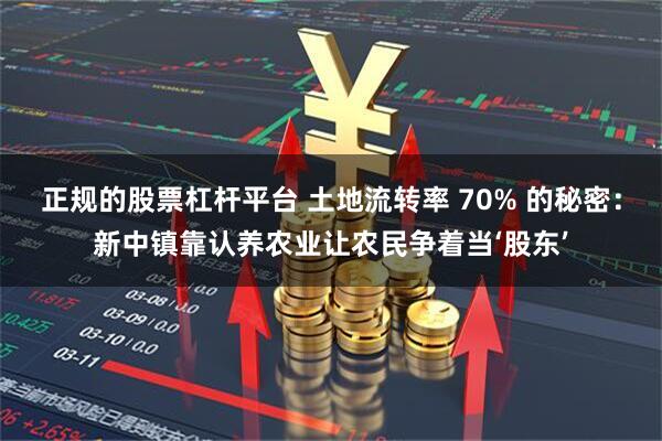 正规的股票杠杆平台 土地流转率 70% 的秘密：新中镇靠认养农业让农民争着当‘股东’
